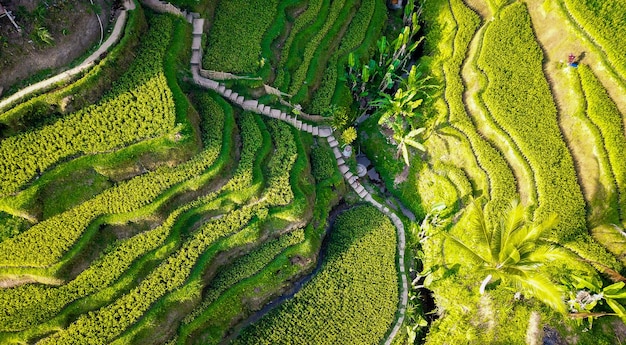 Una bella vista panoramica di bali indonesia