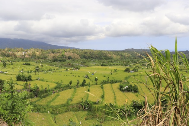 Una bella vista panoramica di bali indonesia