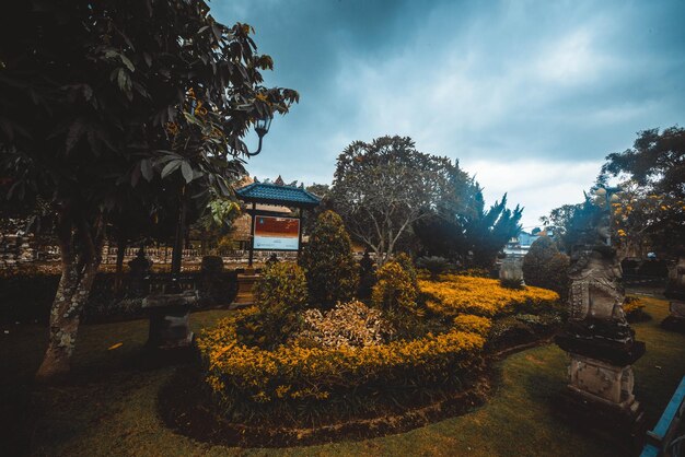 Una bella vista panoramica di bali indonesia