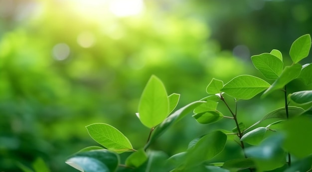 Una bella vista ravvicinata della natura foglie verdi su uno sfondo di albero verde sfocato