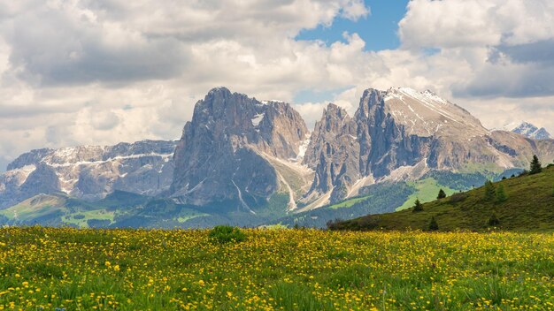 Una bella vista.