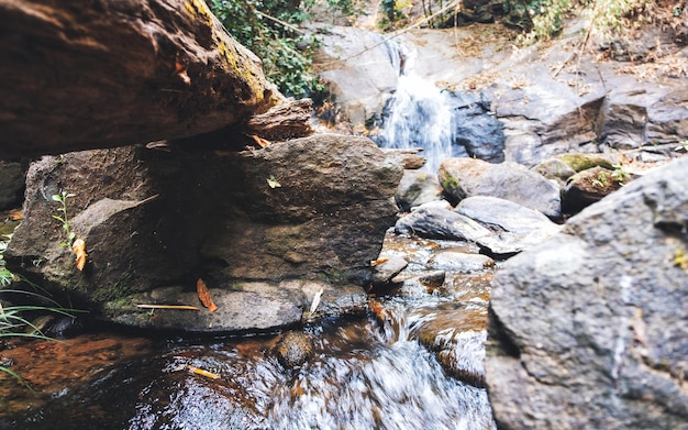 Una bellissima cascata nella giungla tropicale