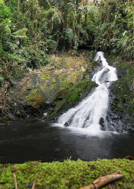 una bellissima cascata nella giungla