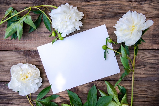 Una bellissima cornice di peonie bianche