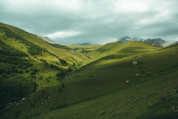 Una bellissima fotografia di paesaggio con le montagne del Caucaso in Georgia