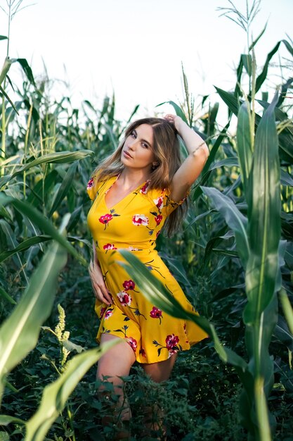 Una bellissima modella in abito giallo cammina e posa nei boschetti di un campo di mais