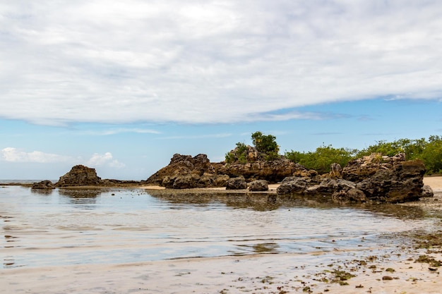 Una bellissima spiaggia a Bahia Brasile