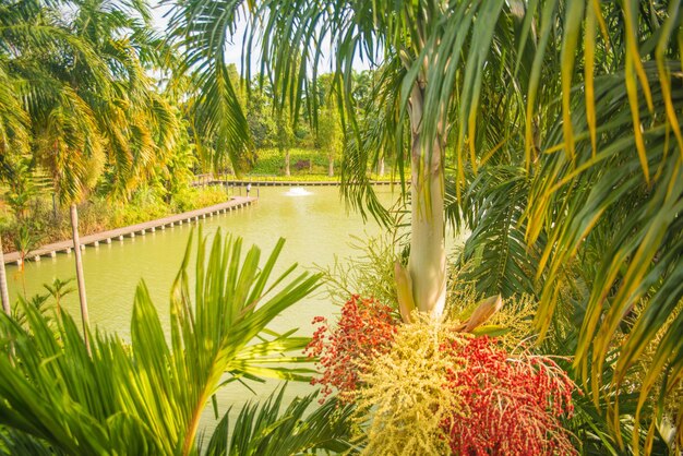 Una bellissima vista dei giardini sulla baia situata a Singapore