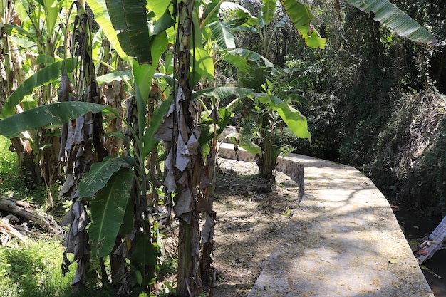 Una bellissima vista del Bird Park situato a Bali Indonesia