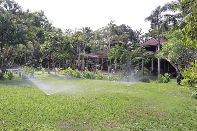 Una bellissima vista del Bird Park situato a Bali Indonesia