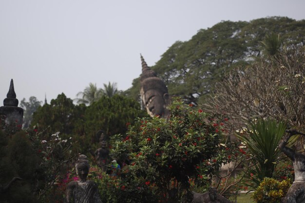 Una bellissima vista del Buddha Park situato a Vientiane Laos