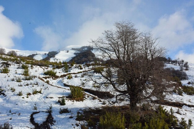 Una bellissima vista del Cerro Catedral situato a Bariloche Argentina