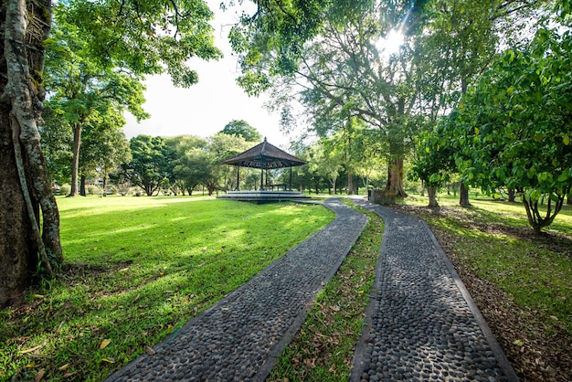 Una bellissima vista del Giardino Botanico di Bali situato in Indonesia