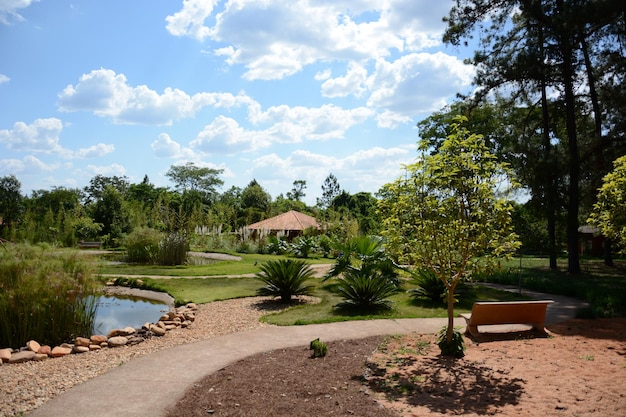 Una bellissima vista del giardino botanico situato a Brasilia, Brasile