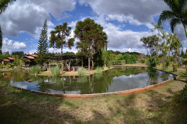 Una bellissima vista del giardino botanico situato a Brasilia, Brasile