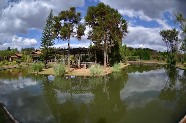 Una bellissima vista del giardino botanico situato a Brasilia, Brasile