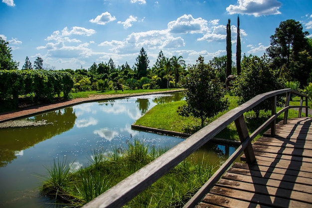 Una bellissima vista del giardino botanico situato a Brasilia, Brasile