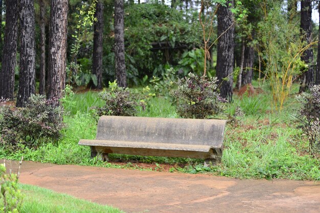 Una bellissima vista del giardino botanico situato a Brasilia, Brasile