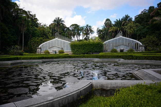 Una bellissima vista del giardino botanico situato a San Paolo in Brasile