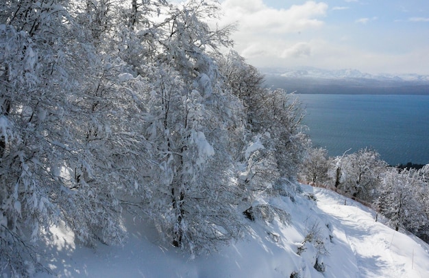 Una bellissima vista del parco Piedras Blancas situato a Bariloche Argentina