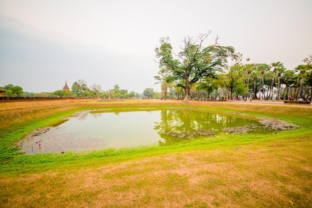 Una bellissima vista del Parco storico di Sukhothai situato in Thailandia