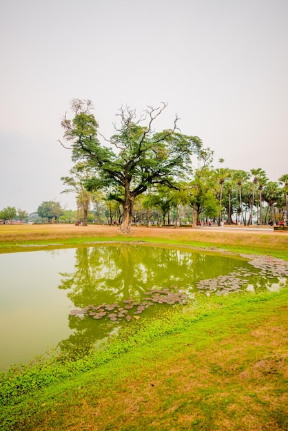 Una bellissima vista del Parco storico di Sukhothai situato in Thailandia