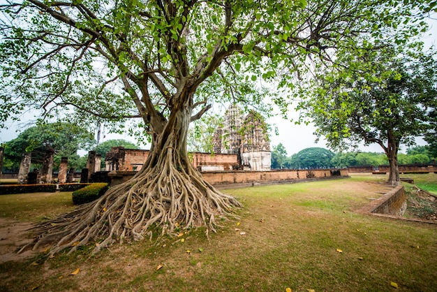 Una bellissima vista del Parco storico di Sukhothai situato in Thailandia