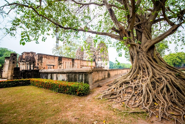 Una bellissima vista del Parco storico di Sukhothai situato in Thailandia