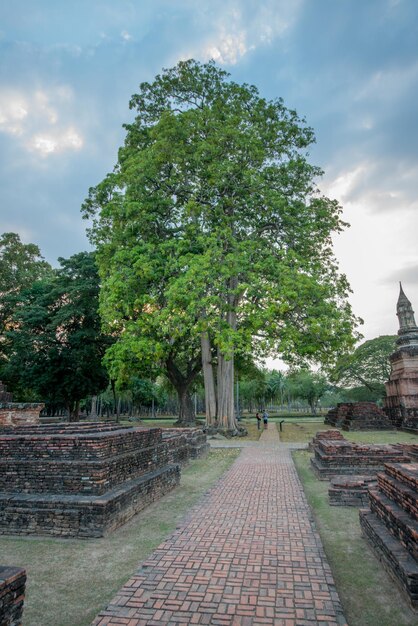 Una bellissima vista del Parco storico di Sukhothai situato in Thailandia