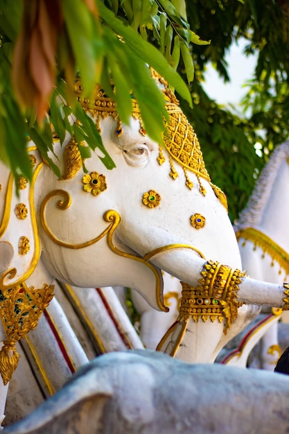 Una bellissima vista del tempio buddista situato a Chiang Rai Thailandia