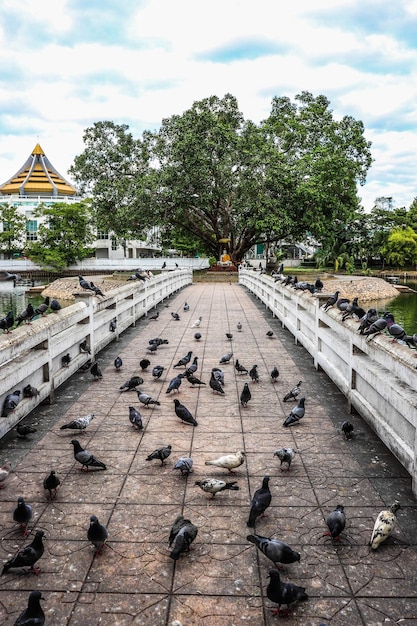 Una bellissima vista del tempio buddista Wat Mahathat situato a Bangkok in Thailandia