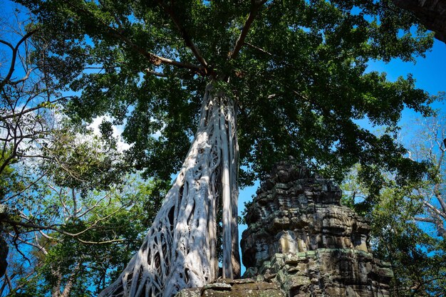 Una bellissima vista del tempio di Angkor Wat situato a Siem Reap in Cambogia