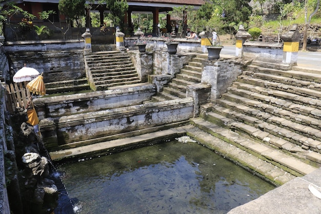 Una bellissima vista del tempio di Goah Gaja situato a Bali Indonesia