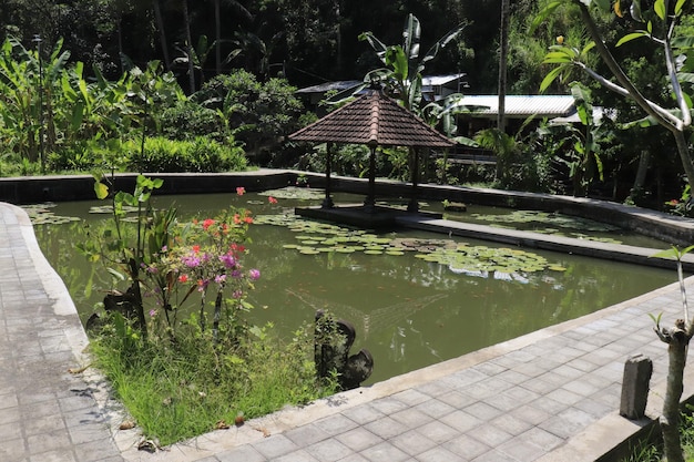 Una bellissima vista del tempio di Goah Gaja situato a Bali Indonesia