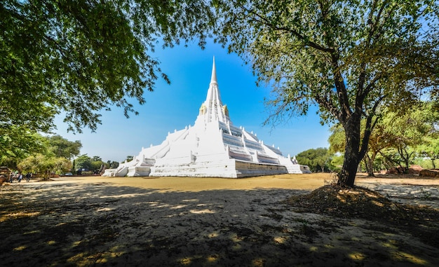 Una bellissima vista del tempio Wat Phu Khao Thong situato ad Ayutthaya in Thailandia