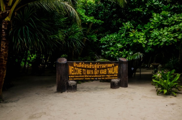 Una bellissima vista dell'isola di Phi Phi situata in Thailandia