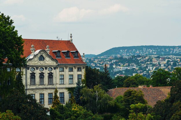 Una bellissima vista della città di Budapest situata in Ungheria