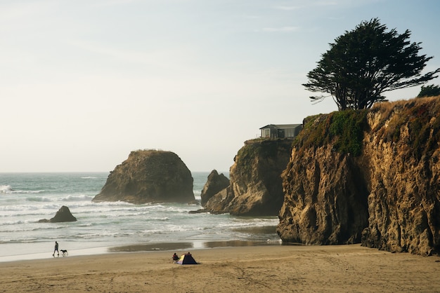 Una bellissima vista della costa della California lungo la State Road 1