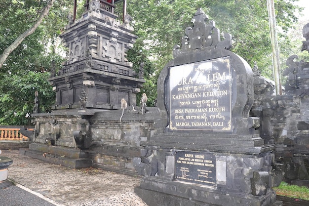 Una bellissima vista della Foresta delle Scimmie a Bali Indonesia