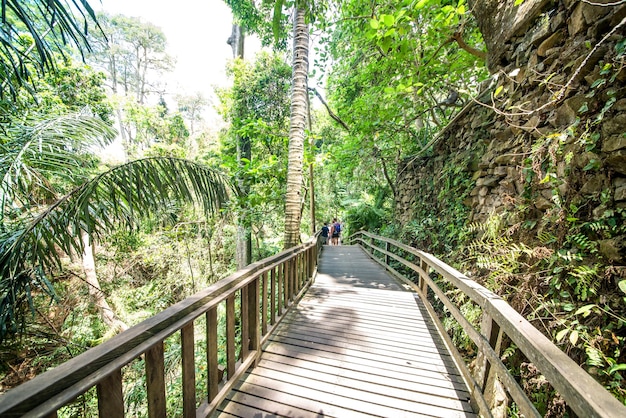 Una bellissima vista della Foresta delle Scimmie situata a Ubud Bali Indonesia