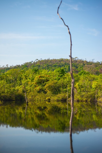 Una bellissima vista della natura nella Chapada dos Veadeiros situata nell'Alto Paraiso Goias Brasile