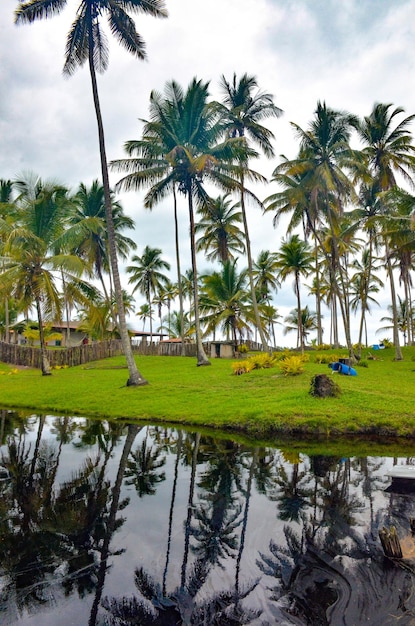 Una bellissima vista della spiaggia di Ilheus Bahia Brasile