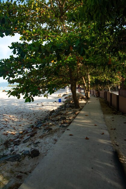 Una bellissima vista della spiaggia di Pantai Cenang a Langkawi in Malesia