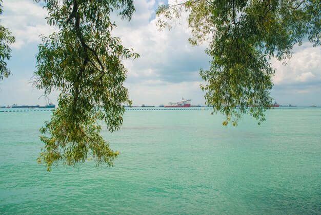 Una bellissima vista di Sentosa Islanda situata a Singapore