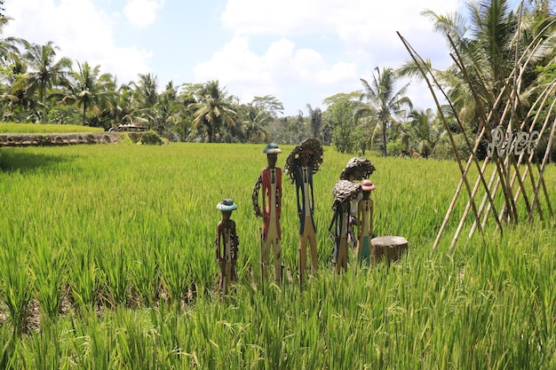 Una bellissima vista di Tegalalang situata a Ubud Bali Indonesia