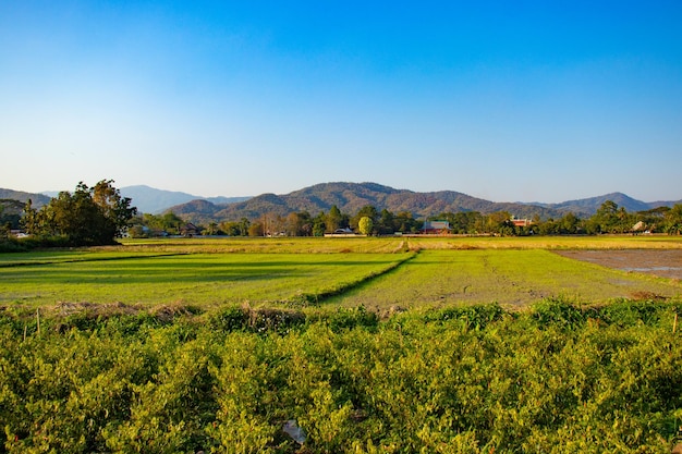 Una bellissima vista panoramica della città di Chiang Rai in Thailandia