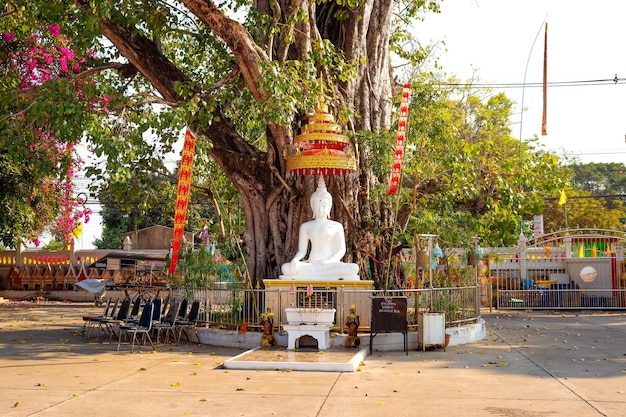 Una bellissima vista panoramica della città di Nong Khai in Thailandia