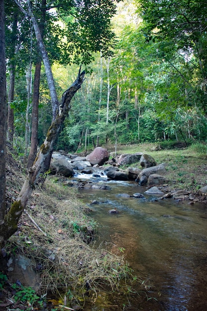 Una bellissima vista panoramica di Chiang Rai Thailandia