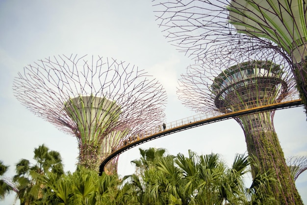 Una bellissima vista panoramica di Singapore