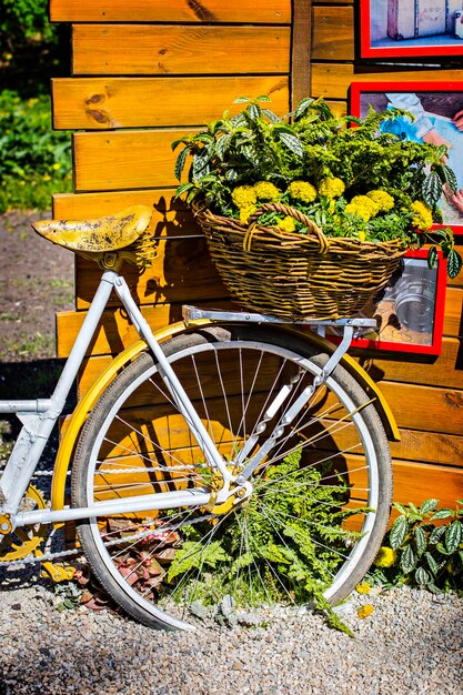 Una bicicletta con sopra un cesto di fiori